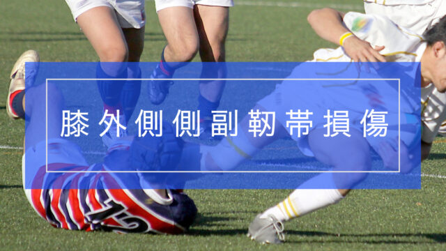 膝外側側副靭帯(LCL)損傷とは?原因・治療・リハビリ完全ガイド
