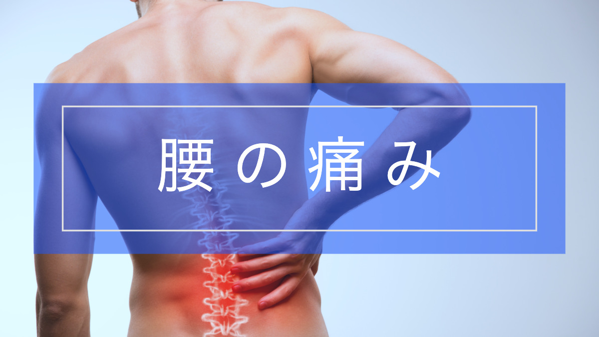 よくわかる 腰の痛みとその原因