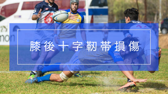 膝後十字靭帯(PCL)損傷の不安を解消|症状から回復へのステップまで丁寧に解説