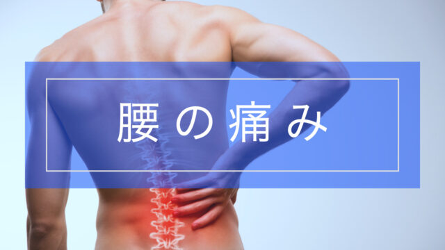 【よくわかる!】腰の痛みとその原因