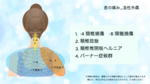 首の痛み　頚椎捻挫