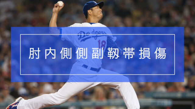 肘内側側副靱帯(MCL)損傷とリハビリテーション