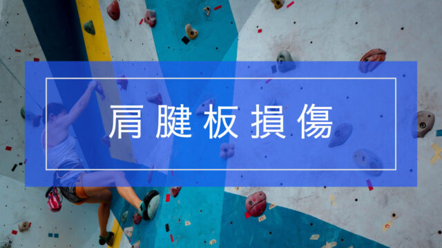 肩腱板損傷とは? 痛みの原因から改善のためのリハビリまで解説