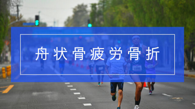 足舟状骨疲労骨折とリハビリテーション