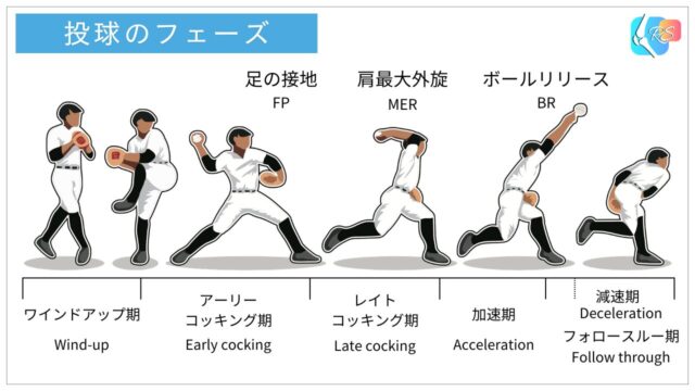 投球動作の6フェーズ（ワインドアップ期・初期コッキング期・後期コッキング期・加速期・減速期・フォロースルー期）の流れを示した図