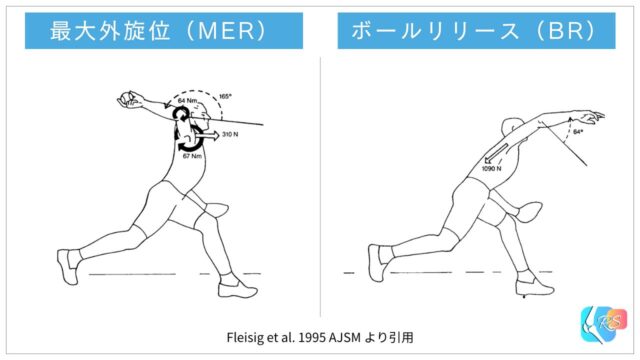 投球動作において痛みが出やすいフェーズ（肩最大外旋位とボールリリース）を示した図