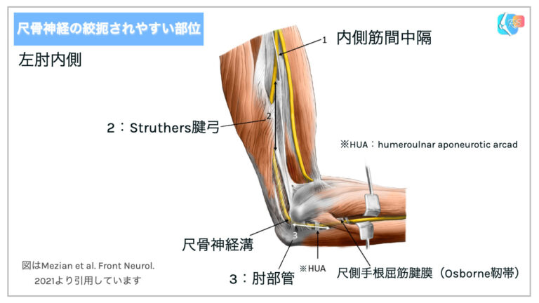 見通しはどうですか?