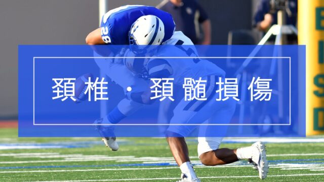 頚椎損傷・頚髄損傷の対応と治療方針｜回復のプロセスと生活改善のポイント