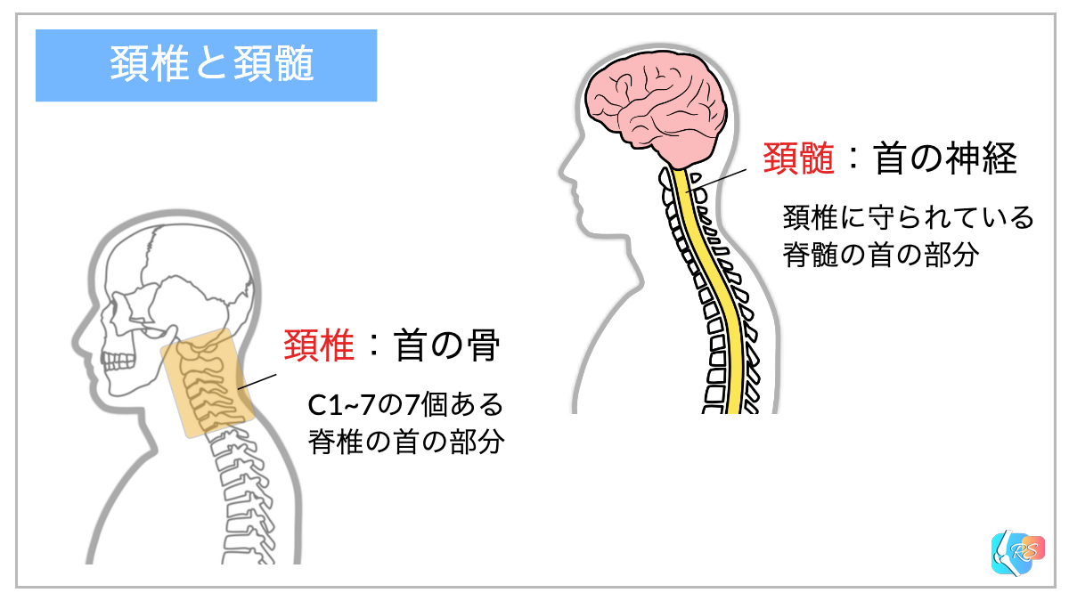 頚椎損傷・頚髄損傷の症状と対応|首のケガ・しびれ