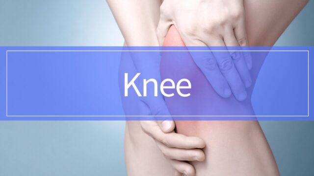 Knee pain ligament injury and rehabilitation guide