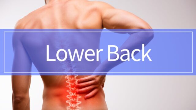Lower back pain and sciatica rehabilitation guide