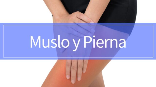 Guía de rehabilitación para lesiones musculares de muslo y pierna