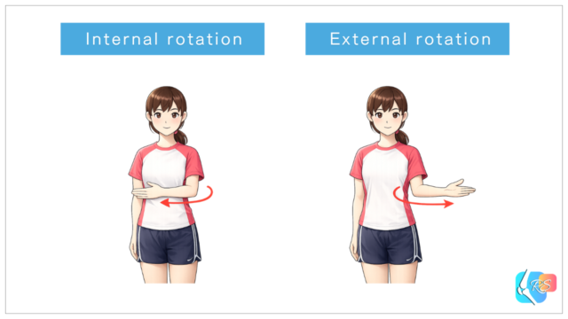 Shoulder internal rotation and external rotation illustrated