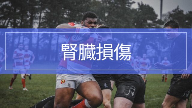 脇腹を打って血尿？腎臓損傷の症状・検査・復帰