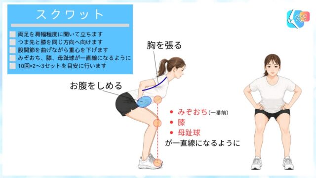 スクワットの説明イラスト。みぞおち(重心)、膝、母趾球が一直線になるように行います。