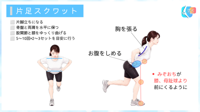 閉鎖筋損傷などに対する片足スクワットの説明イラスト
