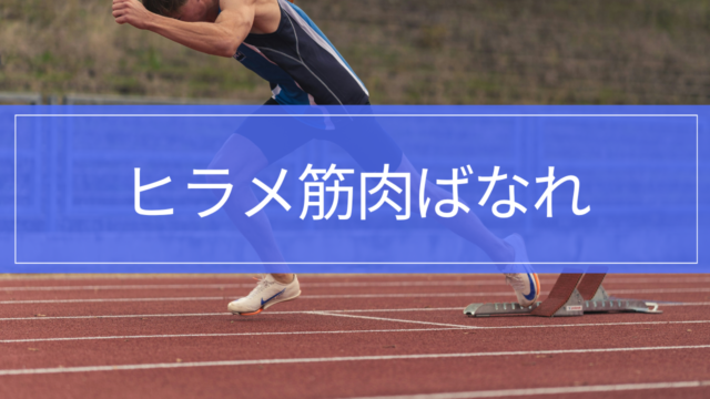 ヒラメ筋肉ばなれ｜ふくらはぎの奥が痛い原因・治療・リハビリ・復帰