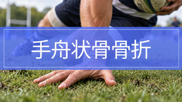 手舟状骨骨折｜親指側の手首の痛み・治療・リハビリ・復帰