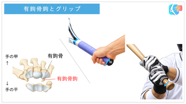 バットやラケットのグリップが手のひら小指側に当たる位置関係を示したイラスト