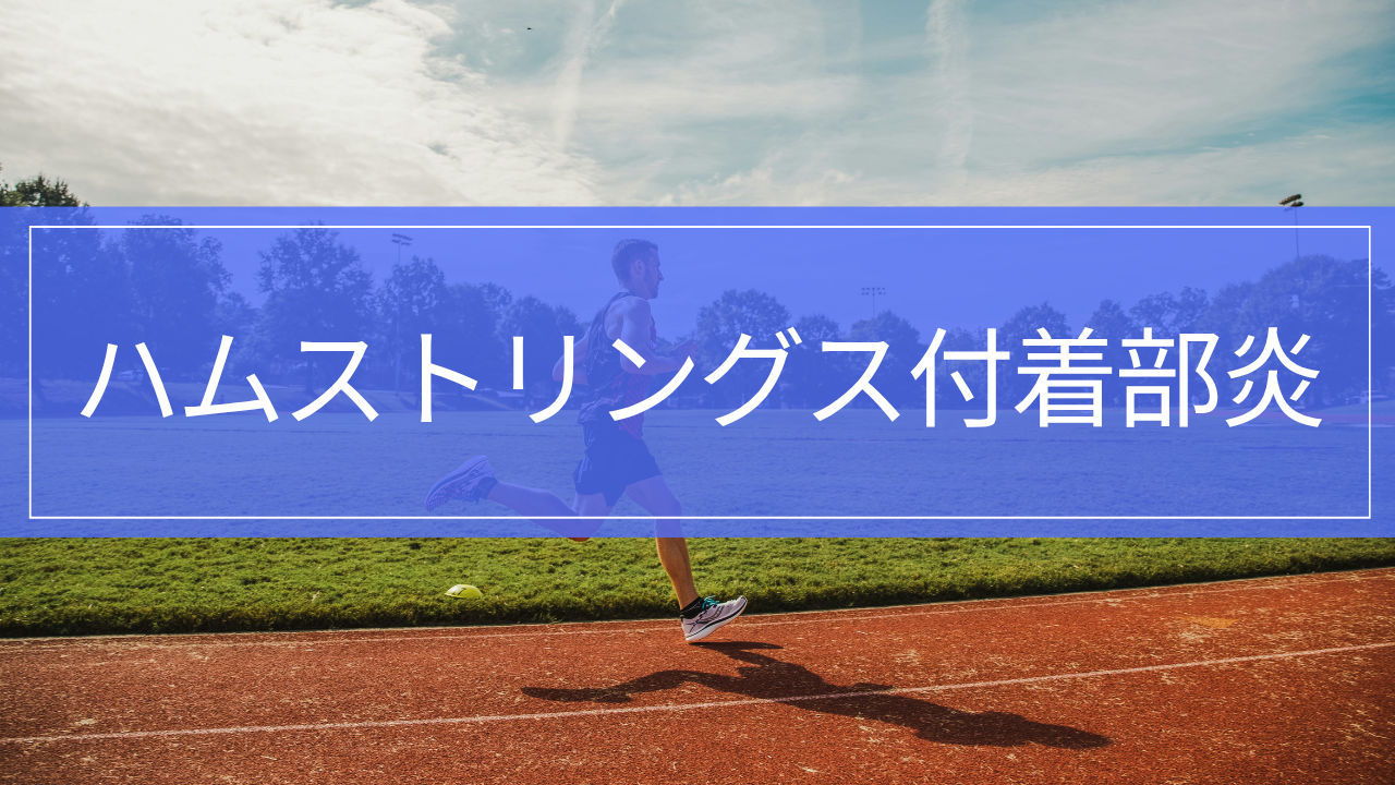 ハムストリングス付着部炎|お尻の下が痛い原因・治療・リハビリ